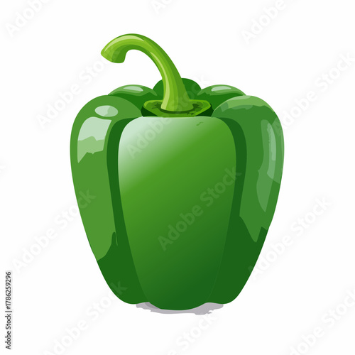A plump green bell pepper standing upright with glossy skin and a vibrant curved green stem.