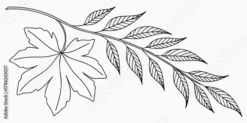 Christmas vector illustration of a maple leaf and a branch with elongated leaves in a black and white drawing