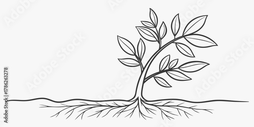 Christmas vector illustration of a young tree with leaves and roots against a white background in black and white style