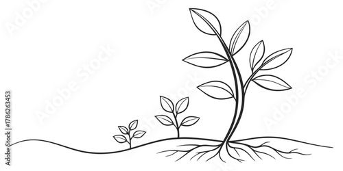 Christmas vector linear illustration of plant growth stages from seedling to mature plant with roots visible