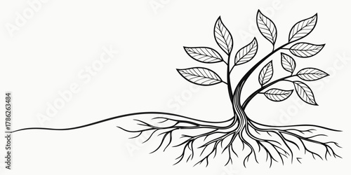 Christmas vector illustration of a small tree with leaves and roots in black and white simple design on white background