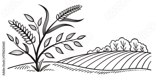 Christmas vector illustration of wheat stalks and leaves in a field with trees in the background on a white page