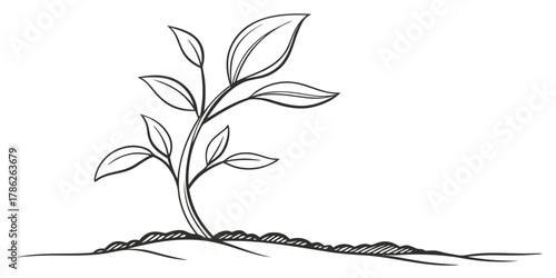 Christmas vector a simple sketch of a young plant with leaves growing from soil in black and white drawing style art