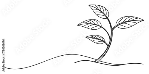 Christmas vector illustration of a plant with four leaves growing from the ground in black and white outline style