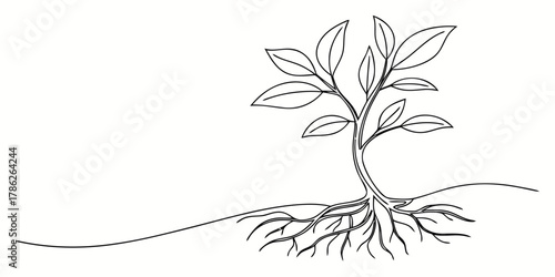 Christmas vector a simple line drawing of a young tree with visible roots and leaves on a white background image art