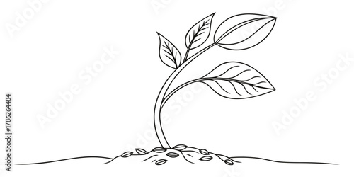 Christmas vector illustration of a small plant sprouting from the ground with several leaves in black and white style