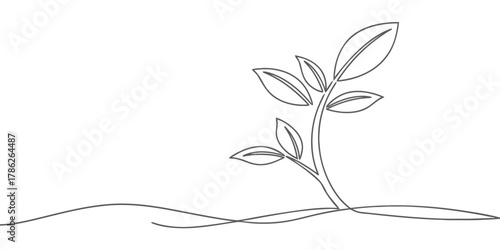 Christmas vector continuous line drawing of a young plant sprouting from the ground with several leaves present now on it
