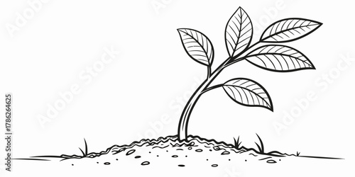 Christmas vector illustration of a young plant with five leaves growing from the soil in black and white drawing