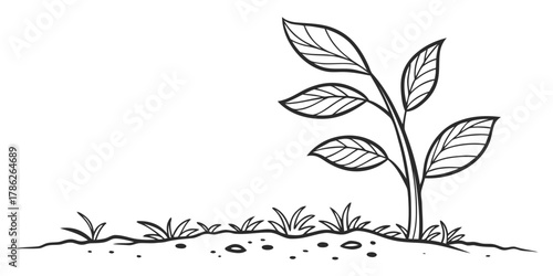 Christmas vector illustration of a young plant with leaves growing on soil with grass in a black and white drawing