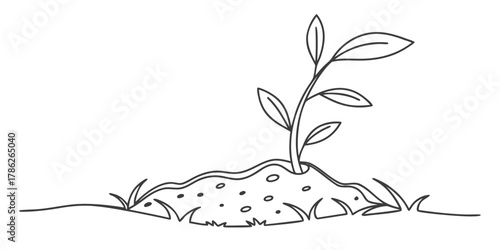 Christmas vector illustration of a small plant with leaves growing out of a mound of dirt in a simple line drawing