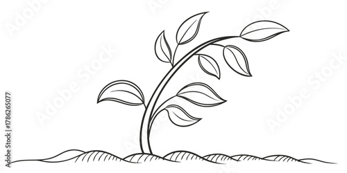 Christmas vector illustration of a young plant with leaves sprouting from the ground in a simple line drawing style