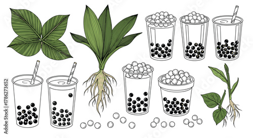 Hand-drawn vintage collection of bubble tea elements, including tapioca plants, pearls, and various illustrated glasses of the popular Taiwanese drink.