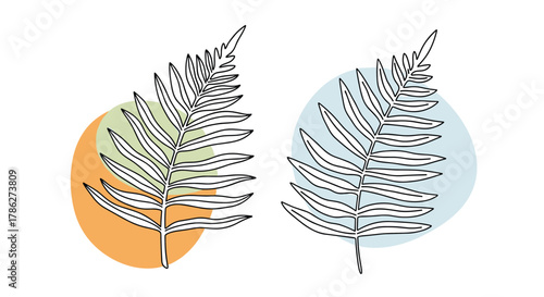 Minimalist botanical art featuring two hand-drawn fern leaves in a simple line style, set against abstract pastel-colored circles on a white background.