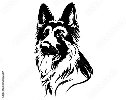 a black and white drawing of a german shepherd dog headBorder collie, black, dog, head, illustration, image, mouth, profile, sheepdog, shepherd, white 