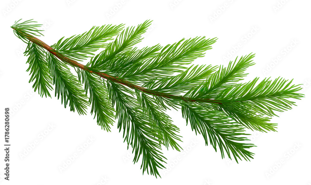 Naklejka premium Evergreen Branch: A vibrant evergreen branch displays a lush collection of needle-like leaves, radiating freshness and vitality.