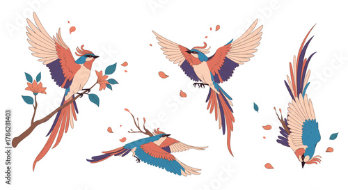 Collection of beautifully illustrated mythical phoenix birds in various elegant poses, including flying and perched on a branch, with colorful wings on a white background.