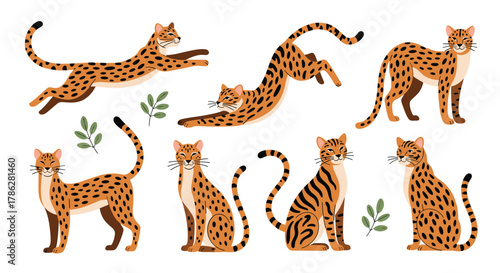 Collection of beautifully illustrated wild cats, including leopards and servals, in various dynamic poses like running, jumping, and sitting, isolated on a white background.
