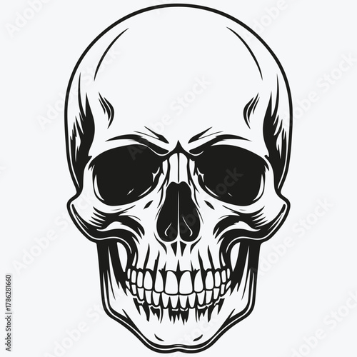 scull sketch illustration vector
