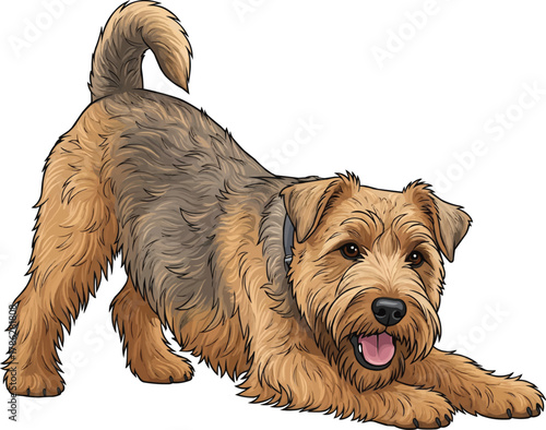 Glen of Imaal Terrier dog cheerful play bow pose vector illustration