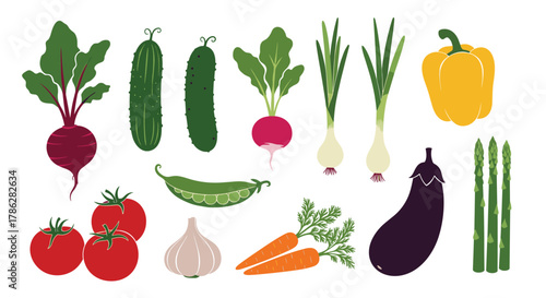 Collection of fresh and healthy garden vegetables with a textured, hand-drawn style, including tomatoes, carrots, and beets, isolated on a clean white background for recipes.