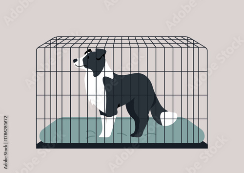 The principles of crate training of a sheepdog dog, The crate features a soft mat, emphasizing comfort while providing a secure area for the pet.