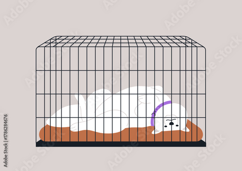 The principles of dog crate training, The crate features a soft mat, emphasizing comfort while providing a secure area for the pet.