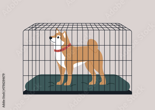 The principles of dog crate training for shiba inu, The crate features a soft mat, emphasizing comfort while providing a secure area for the pet.