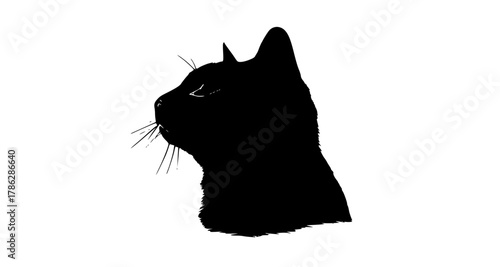 a black silhouette of a cat head on a plain transparent backgroundblack, cat, profile, stare 