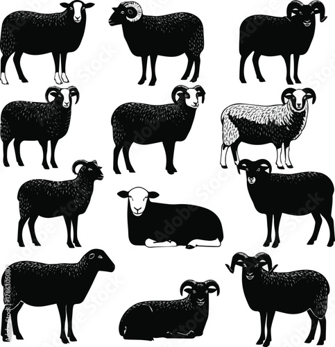 create farm animals set of different sheeps vector art silhouette with white background