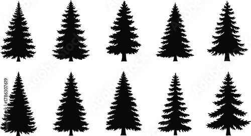 Black pine and fir tree silhouette vector collection, evergreen forest illustration, natural conifer shapes, winter woodland design, isolated nature art