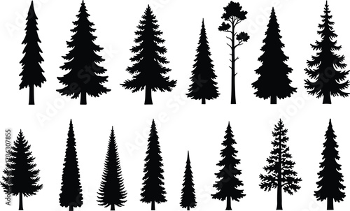 Black pine tree, spruce tree, fir tree, cedar tree silhouettes, evergreen forest vector collection, natural conifer shape design illustration