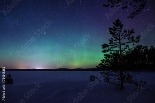 Green aurora borealis over a frozen and snowy lake in the forests of Pirkanmaa, Finland