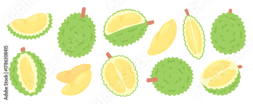 Durian fruits. Cartoon durian various angles, exotic fruit whole, cutting and peeling. Asian vegan food plant isolated icons. Raw for sweets, ice cream, racy vector set