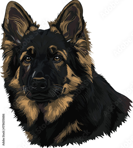 German Shepherd dog illustration, realistic fur texture, black tan coat, calm expression, upright ears, attentive pose, breed reference, pet animal