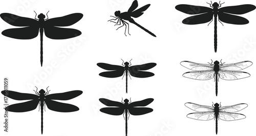 Dragonfly silhouettes and detailed wing illustrations set, insect vector collection, nature wildlife design, flying dragonfly art outline elements