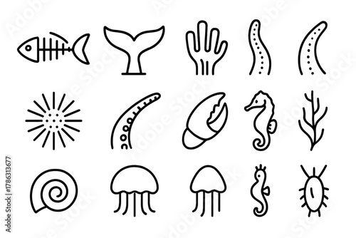 Vector bell marine whale polyp icon life anatomy frond urchin ellyfish starfish