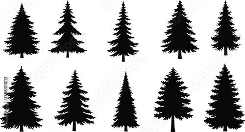 Pine and fir tree silhouettes vector collection, evergreen conifer forest design elements, black nature trees, winter woodland illustration