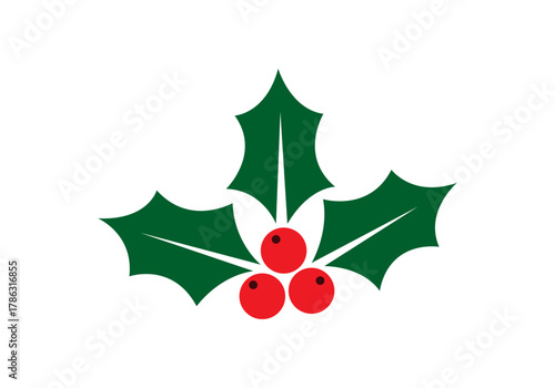 Acebo en silueta de decoración navideña 