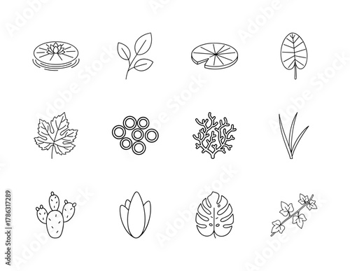 Botanical plant line icon set. Vector pictograms of water lily, generic leaves, cactus, coral, grape leaf, lotus bud, monstera leaf, and ivy, thin linear illustration.