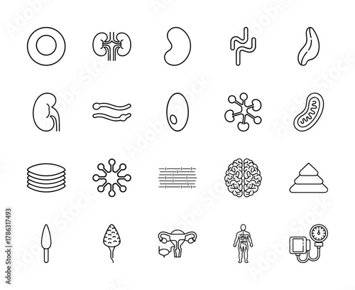Medical anatomy line icon set. Vector pictograms of human organs, brain, cells, mitochondria, neurons, and reproductive system, thin linear illustration.