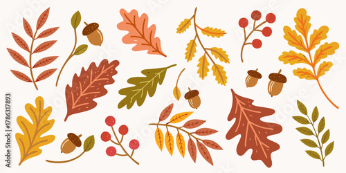 Collection of autumn leaves acorns and berries in warm fall colors