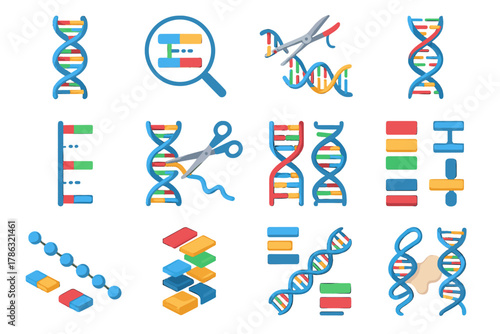 Unraveling helix dna backbone icon nucleotide cut vector collection folding protein hydrogen