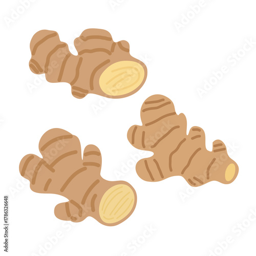 Ginger Root Clipart in Flat Hand-Drawn Style for Kitchen Design