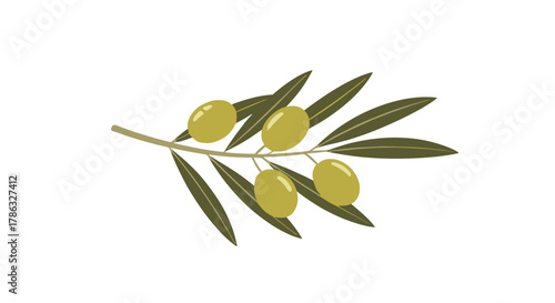 A single olive branch with vibrant green leaves and plump olives, symbolizing nature, health, and Mediterranean charm.