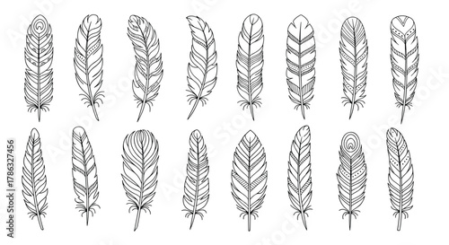 A set of various feather illustrations, depicted in a detailed line art style, showcasing different shapes and textures for artistic or decorative use.