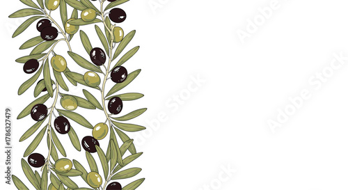 A vertical border features lush olive branches with both green and black olives, adding a natural and elegant touch to designs.