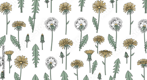 Seamless pattern of dandelions in various stages of bloom, from closed buds to fluffy seed heads, set against a white background, perfect for spring or nature themes.