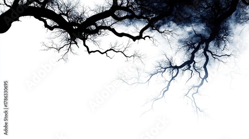 A black and white photo of a tree with no leaves