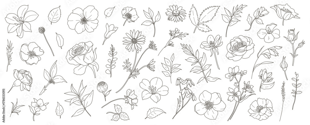 Fototapeta premium Floral botanical elements: flowers, branches, and leaves. Simple vector flowers, hand drawn in a line art style