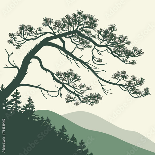 Silhouette Of Pine Tree Branch Over Green Hills And Forest pine needles